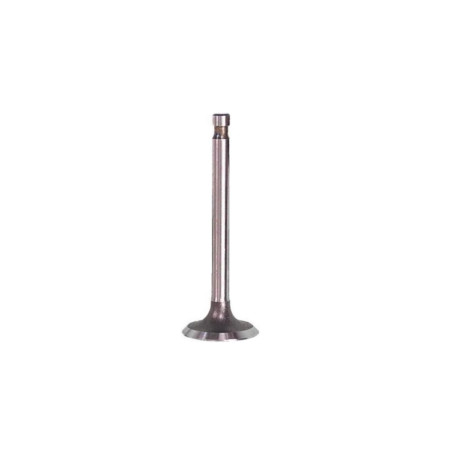 RIEJU EXHAUST VALVE 50 CCM MRT EURO 3