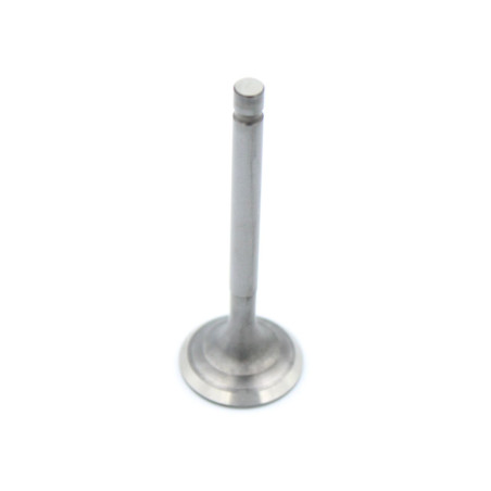 RIEJU EXHAUST VALVE 50 CCM MRT EURO 3