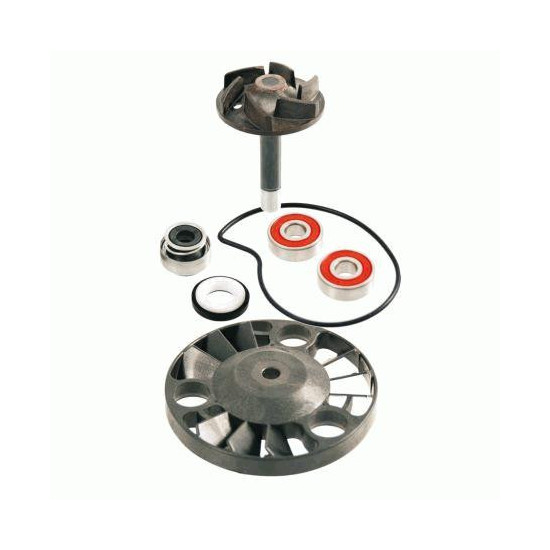 VANDENS SIURBLIO REMONTO RINKINYS PIAGGIO BEVERLY 125-200CC 2001 / 2003 - HEXAGON GTX 125-180CC 2000