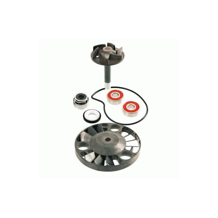 VANDENS SIURBLIO REMONTO RINKINYS PIAGGIO BEVERLY 125-200CC 2001 / 2003 - HEXAGON GTX 125-180CC 2000