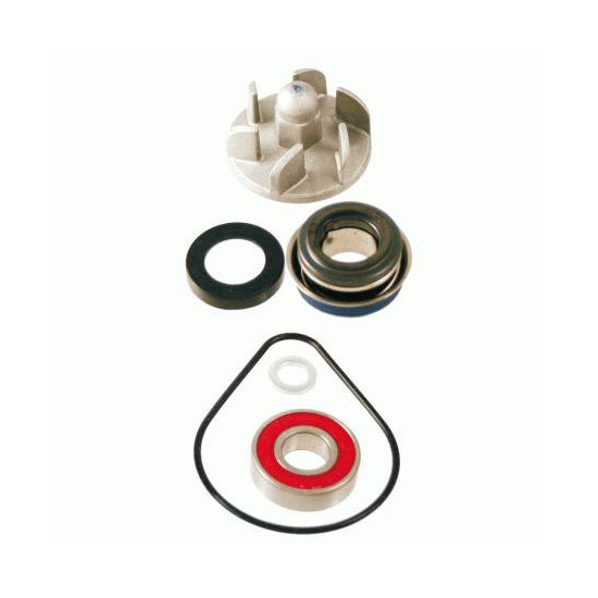 WATER PUMP REPAIR KIT HONDA PANTHEON 2T 125-150CC 1998 / 2002
