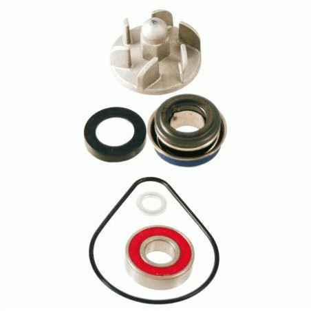 VANDENS SIURBLIO REMONTO KOMPLEKTAS HONDA PANTHEON 2T 125-150CC 1998 / 2002