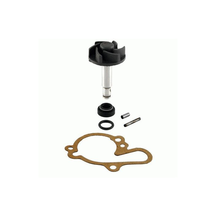 Water pump repair kit Minarelli AM6