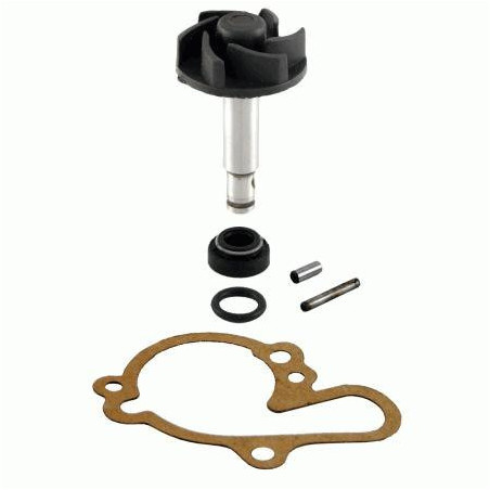 Water pump repair kit Minarelli AM6