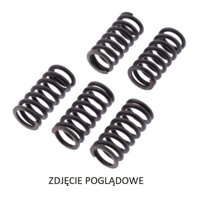 TRW LUCAS ZF sankabos spyruoklės DUCATI 749S/R '03-'07, 916 ST4 '99-'03, 944 ST2 '97-'03, 996 ST4 '01-'03, 999 BIPOSTO '02-'06,