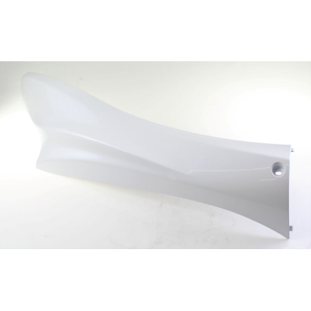 APATINIS DANGTELIS DEŠINYSIS VITALITY 64305-LBD5-E00-NVP