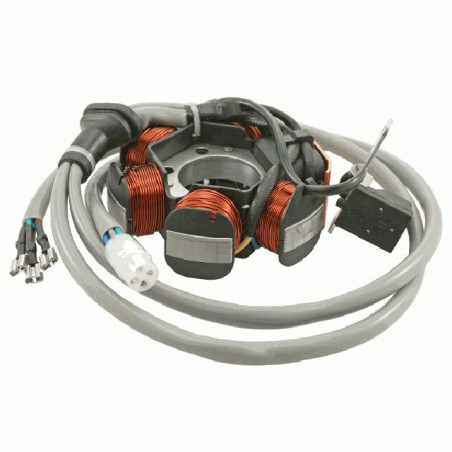 STATORIUS PIAGGIO FREE / SFERA / ZIP / LIBERTY / NRG 50CC