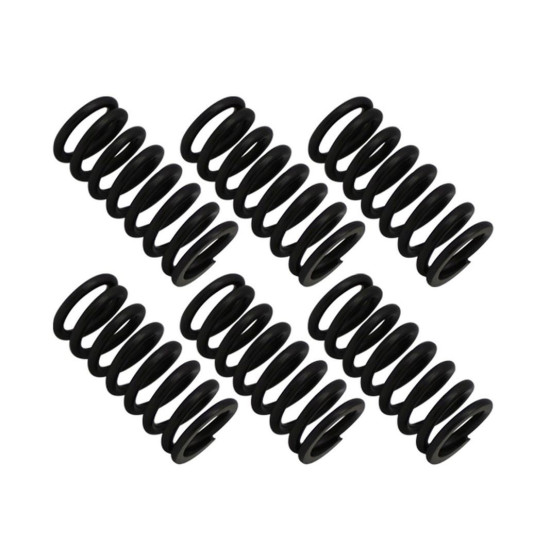 PSYCHIC clutch springs KTM EGS 250 '94-'99, EXC 250 '94-'05, MXC 250 '98-'99, SX 250 '94-'12, SXS 250 '01-'03, XC/X