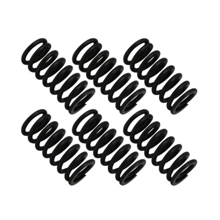 PSYCHIC clutch springs KTM EGS 250 '94-'99, EXC 250 '94-'05, MXC 250 '98-'99, SX 250 '94-'12, SXS 250 '01-'03, XC/X