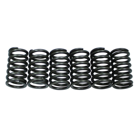 PSYCHIC clutch springs KTM SXC 540 '98-'99, LC4 620 ADVENTURE '96-'97, LC4 620 COMPETITION/SUPERMOTO '99, LC4 620 S