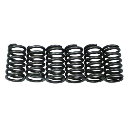 PSYCHIC clutch springs KTM SXC 540 '98-'99, LC4 620 ADVENTURE '96-'97, LC4 620 COMPETITION/SUPERMOTO '99, LC4 620 S