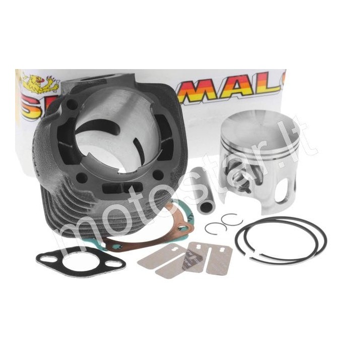 Malossi Sport 124cc Minarelli 100 cilindro komplektas Malossi Sport 124cc Minarelli 100 cilindro komplektas