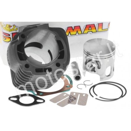 Malossi Sport 124cc Minarelli 100 cilindro komplektas