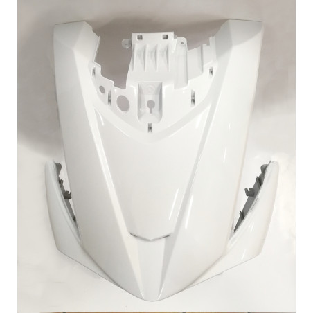 FRONT COVER PEOPLE 300 GT 64301-LGE5-E00-NVP