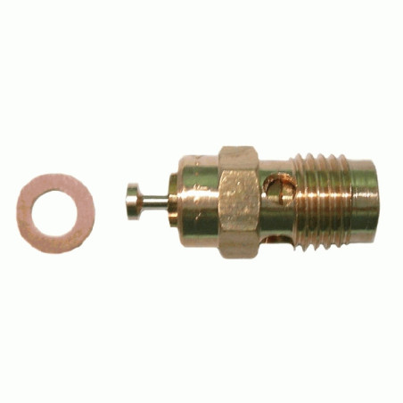 Floating needle DELLORTO 350
