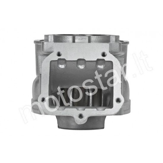 Polini Alu 154cc Rotax 122 / 123 cylinder kit