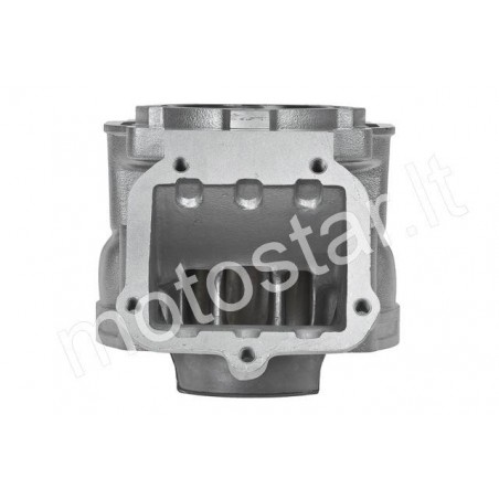 Polini Alu 154cc Rotax 122 / 123 cylinder kit
