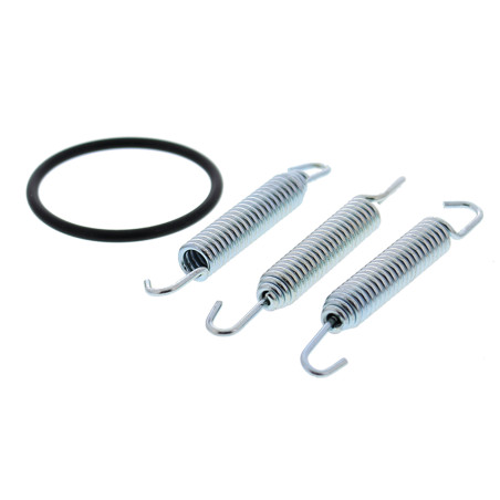 WINDEROSA (VERTEX) springs for muffler mounting YAMAHA YZ250 '95-'98 (set with oil seals)