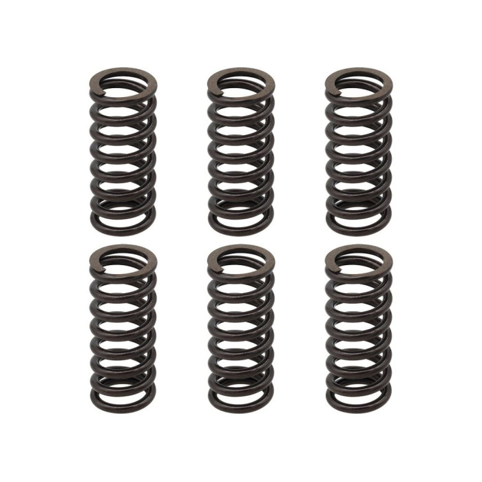 PSYCHIC clutch springs KTM EXC 250 RACING '02-'05, EXC-F 250 '03-'04, EXC 400 '01-'07, SX/MXC '00-'02, EXC/MXC/SMR/