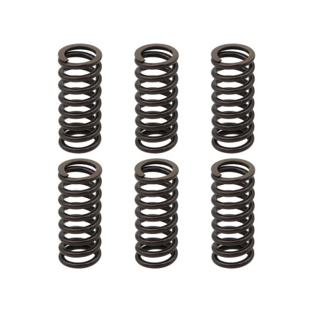PSYCHIC sankabos spyruoklės KTM EXC 250 RACING '02-'05, EXC-F 250 '03-'04, EXC 400 '01-'07, SX/MXC '00-'02, EXC/MXC/SMR/