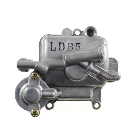 FLOAT CHAMBER COVER 16012-LDB5-E00