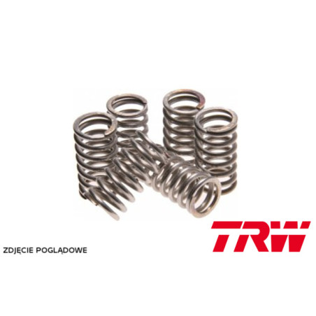 TRW LUCAS sankabos spyruoklės KAWASAKI ZR 750 ZEPHYR 96-99, ZX-9R 900 NINJA 94-97, ZXR 1200 01-06, (EBS038)