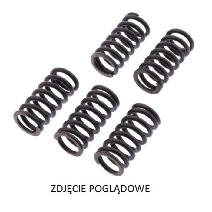 TRW LUCAS ZF sankabos spyruoklės HUSQVARNA SM 610 '01-'10, SUZUKI GZ 250 MARAUDER '99-'08, VL 250 INTRUDER '00-'07, TRIUMPH ADVE