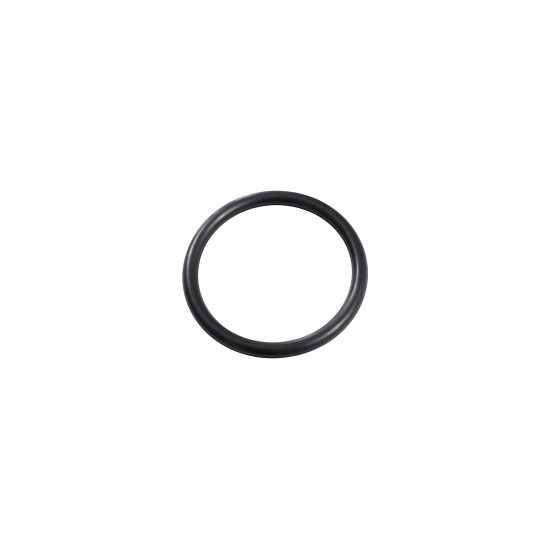 O-ŽIEDAS 30,8 MM 91302-0A01-C00