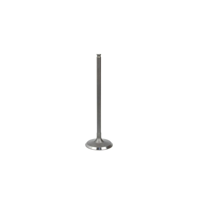VARIKLIO VOZTUVAS VESRAH 600 CCM HONDA CBR600F4 1999-2006