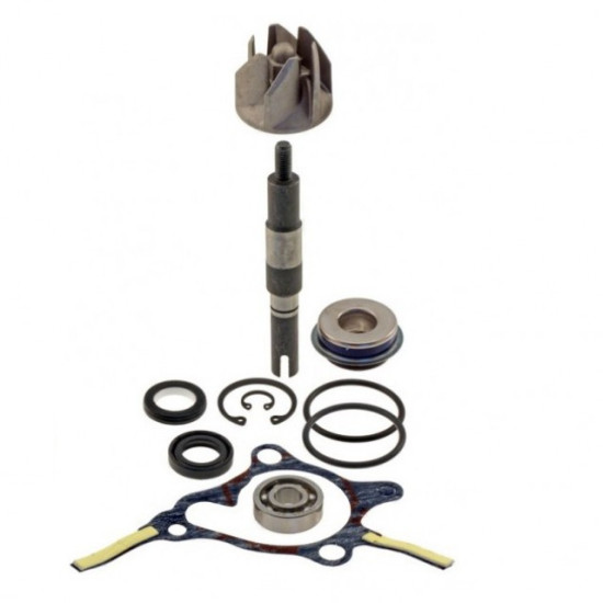 WATER PUMP REPAIR KIT HONDA FORESIGHT 250CC 1998