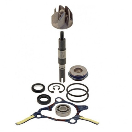 WATER PUMP REPAIR KIT HONDA FORESIGHT 250CC 1998