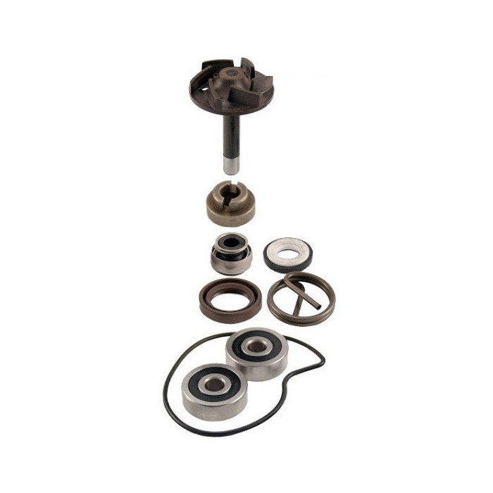 VANDENS SIURBLIO REMONTO RINKINYS PIAGGIO BEVERLY 250CC 2004 / 2005