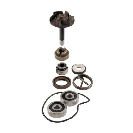 VANDENS SIURBLIO REMONTO RINKINYS PIAGGIO BEVERLY 250CC 2004 / 2005