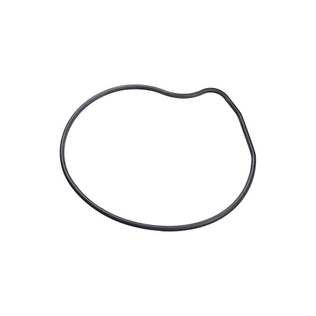 MXU 700 water pump seal ring