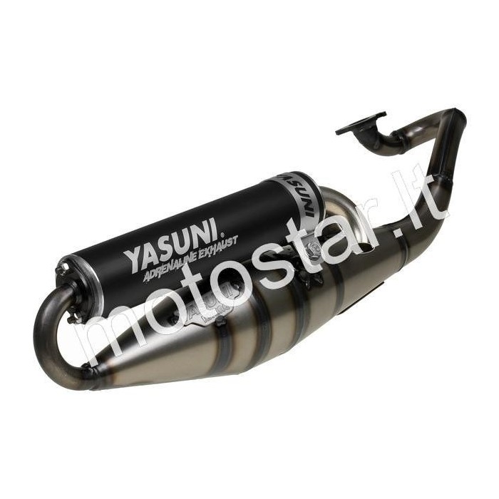 Yasuni Z Black Potato Mineral Horizontal Dust