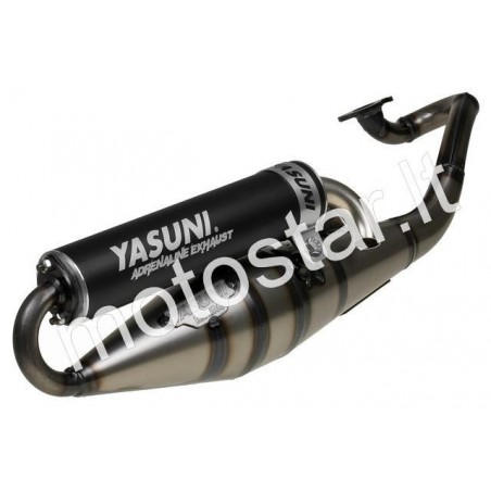 Yasuni Z Black Potato Mineral Horizontal Dust