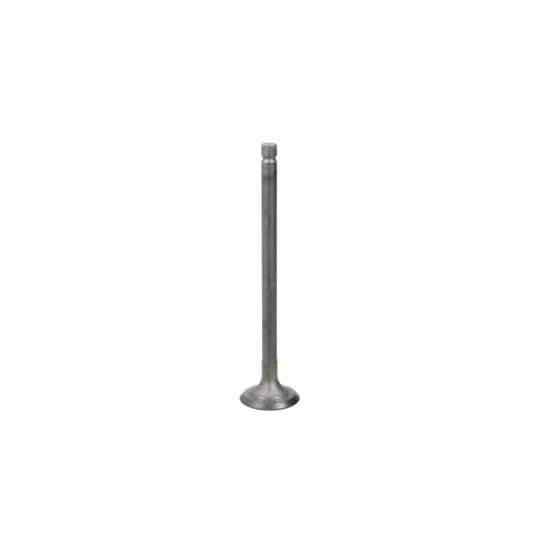 ENGINE VALVE VESRAH 250 / 300 CCM SUZUKI DR250 GN250 Z250 LT300E