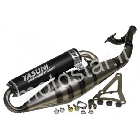 Yasuni Z Black Potato Mineral Horizontal Dust