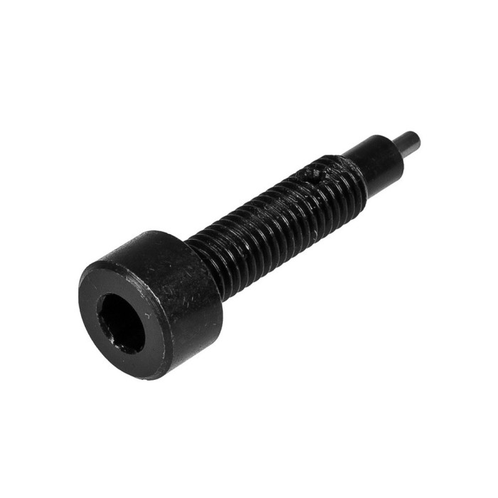 BUZZETTI SCREW, MOUNTING PIN