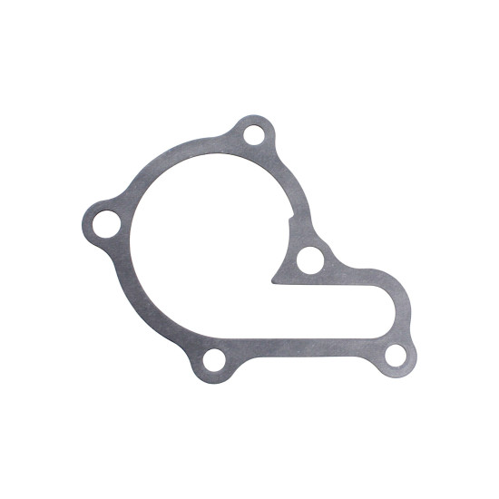 WATER PUMP GASKET 19229-LFA7-E00