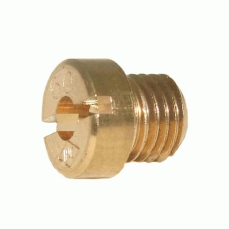 MAIN INJECTOR DELLORTO 102 (6.0*0.75)