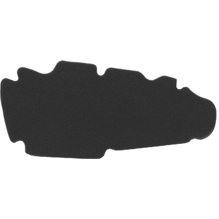 ORO FILTRAS PEUGEOT LOOXOR 125-150CC 2002 / 2003