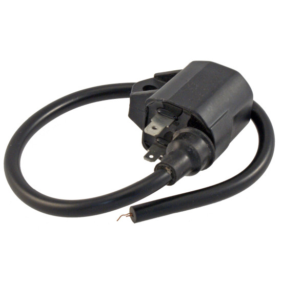 Coil EPICURO 125 / 150 RMS 24 601 0112