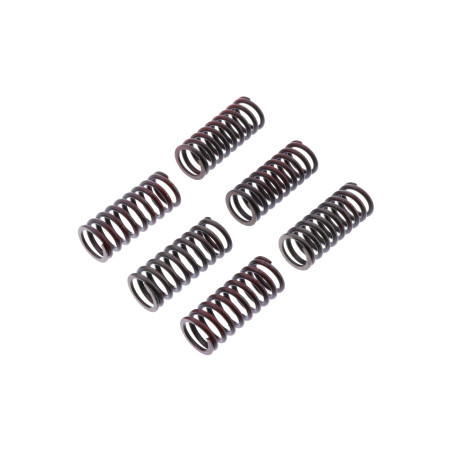 TRW LUCAS clutch springs DUCATI MONSTER 620 / 696 / 800 05-14, SCRAMBLER 800 15-,