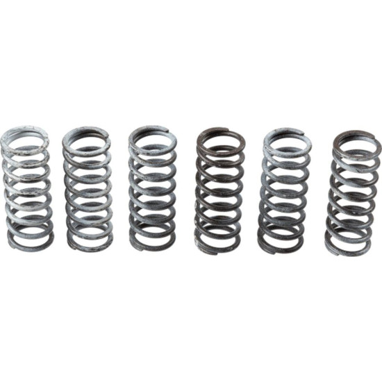 TRW LUCAS clutch springs SUZUKI DL 650 04-16, GLADIUS 650 09-16, SV 650 03-10/16-, (EBS133)