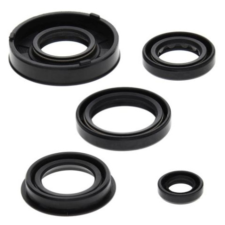 WINDEROSA (VERTEX) variklio tarpinių komplektas ARCTIC CAT 50 Y-6 04-05, 90 2-STROKE 02-04, 90 UTILITY 2X4 06, CAN-AM DS 50 02-0