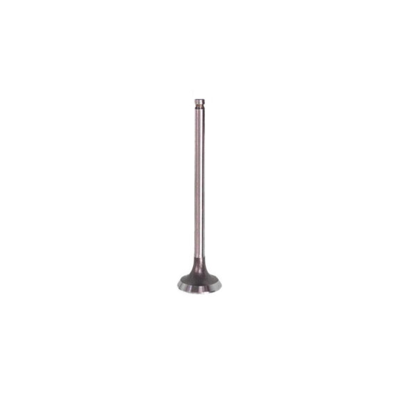 INTAKE VALVE TKRJ 125 CCM YAMAHA XT-125 2005-2011