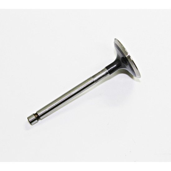 ĮSIŪRIMO VOZTUVAS TKRJ 125 CCM YAMAHA YBR-125 2005-2014