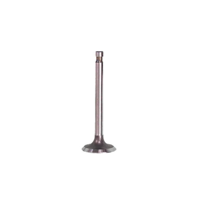EXHAUST VALVE TKRJ 125 CCM SUZUKI GS-125 1984-1999