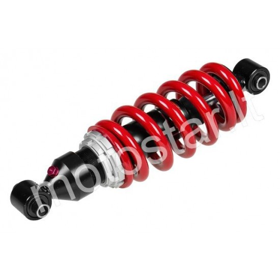 Peugeot XR6 rear shock absorber Tec R